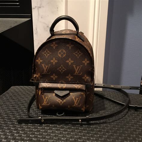 louis vuitton mm palm springs|Louis Vuitton small backpack.